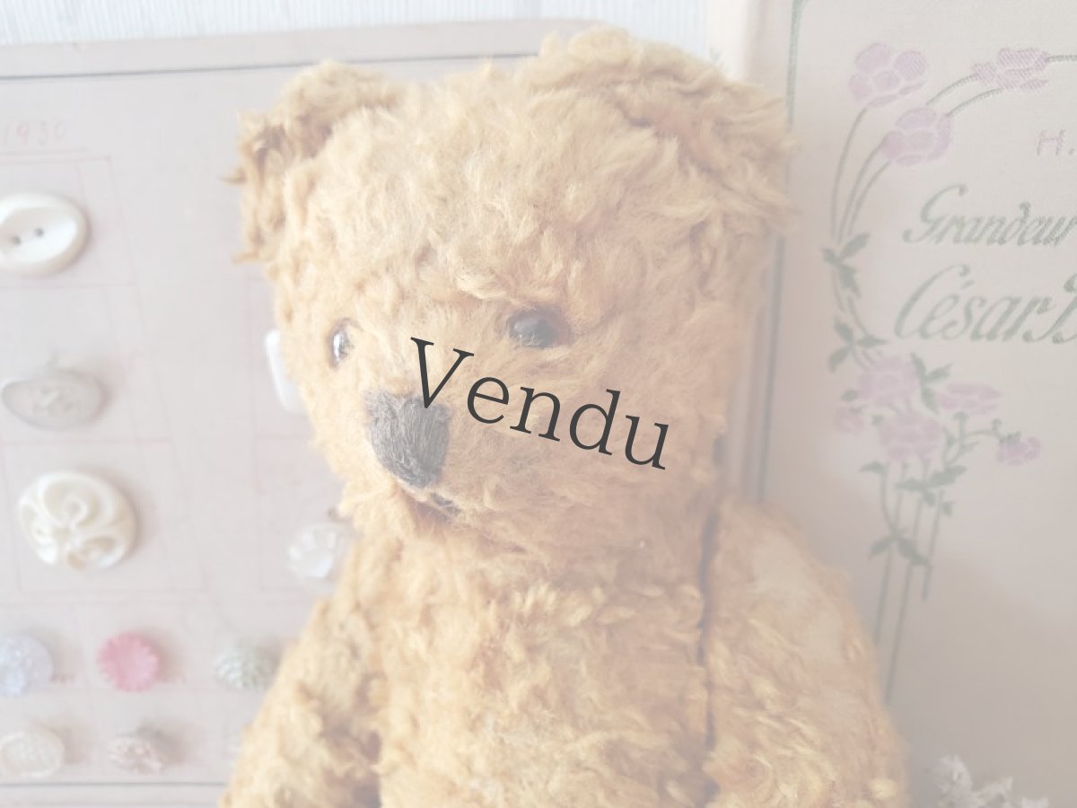 画像2: フランス 1930-1950年 小さなくまのぬいぐるみ (2)