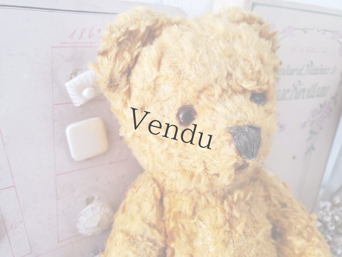 画像3: フランス 1930-1950年 小さなくまのぬいぐるみ (3)