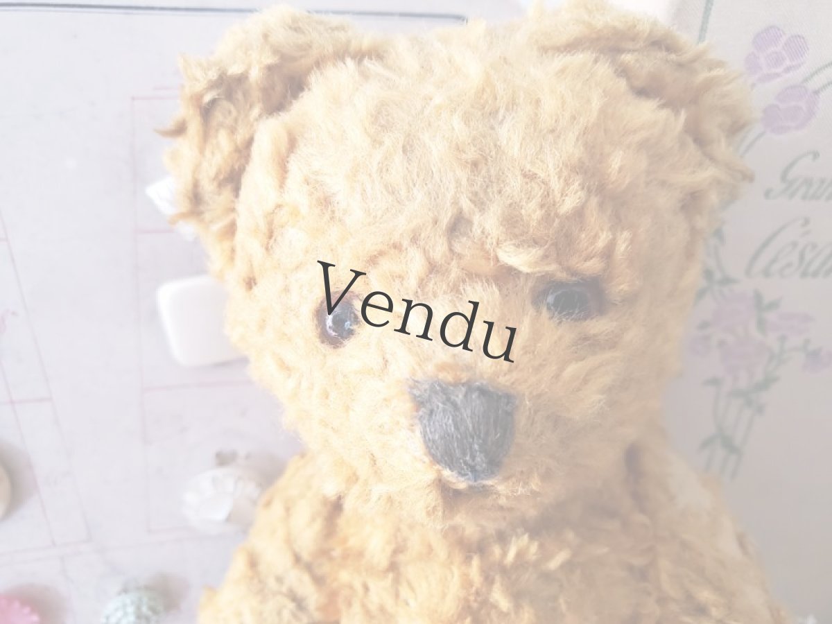 画像4: フランス 1930-1950年 小さなくまのぬいぐるみ (4)