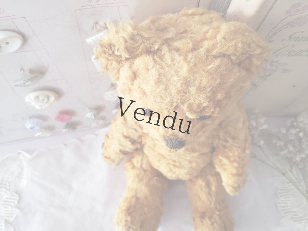 画像5: フランス 1930-1950年 小さなくまのぬいぐるみ (5)