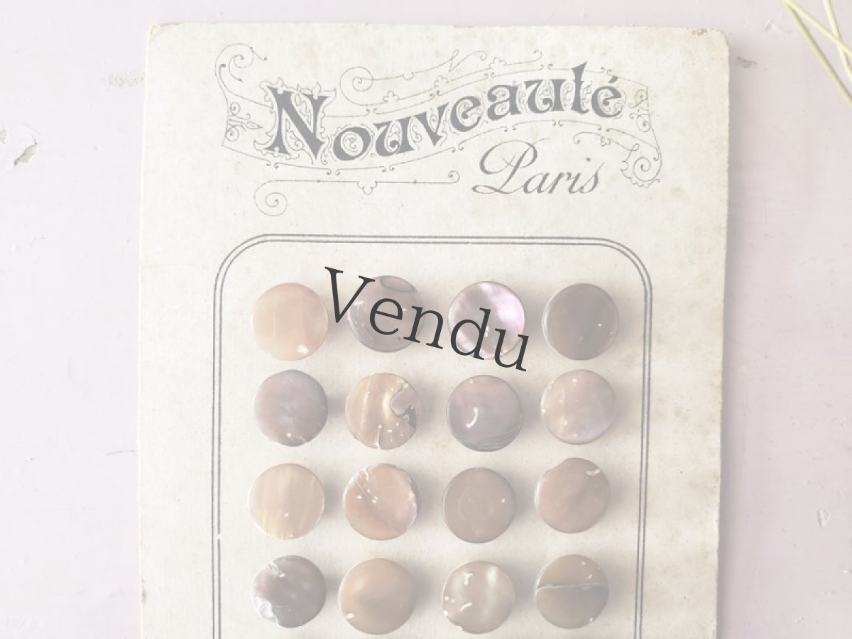 画像2: フランスアンティーク 貝ボタンシート  11mm (2)