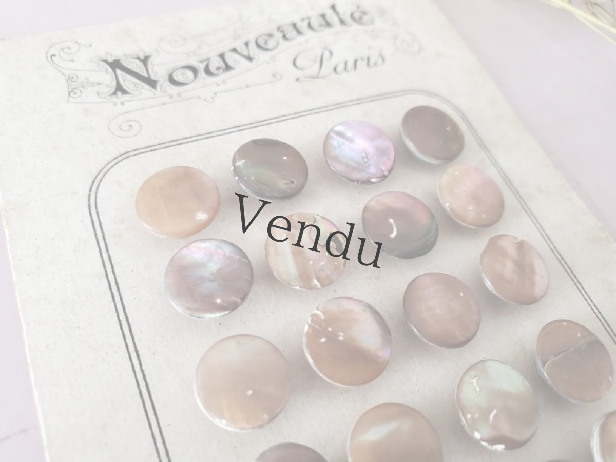 画像3: フランスアンティーク 貝ボタンシート  11mm (3)