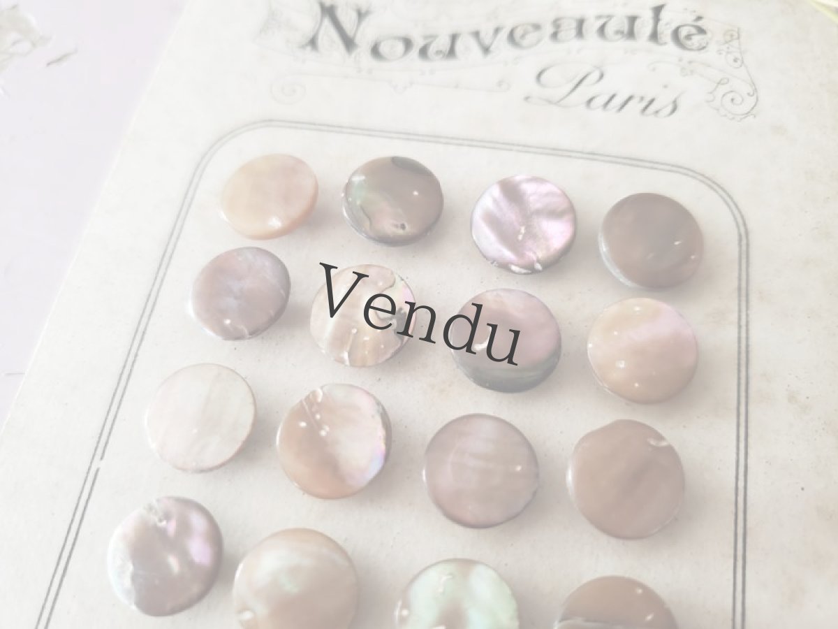 画像5: フランスアンティーク 貝ボタンシート  11mm (5)