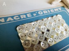 画像3: フランスヴィンテージ　貝ボタンシート NACRE D'ORIENT 8-9mm (3)