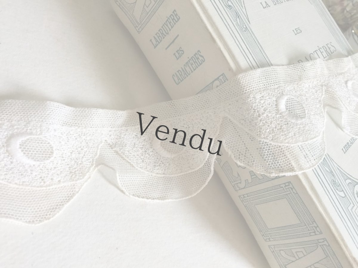 画像2: アンティーク　2重チュールレース (2)