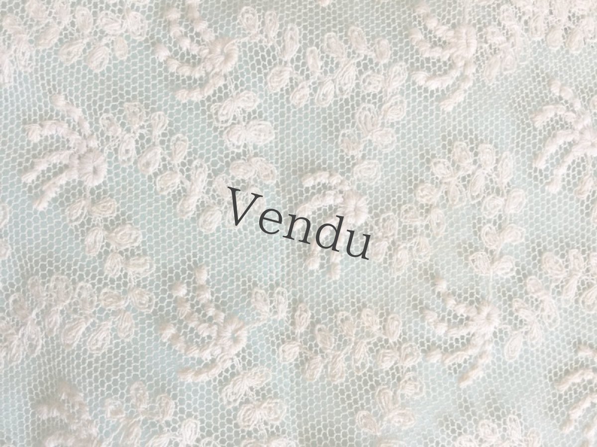 画像9: フランスアンティーク　アプリカシオンレースのお袖セット (9)