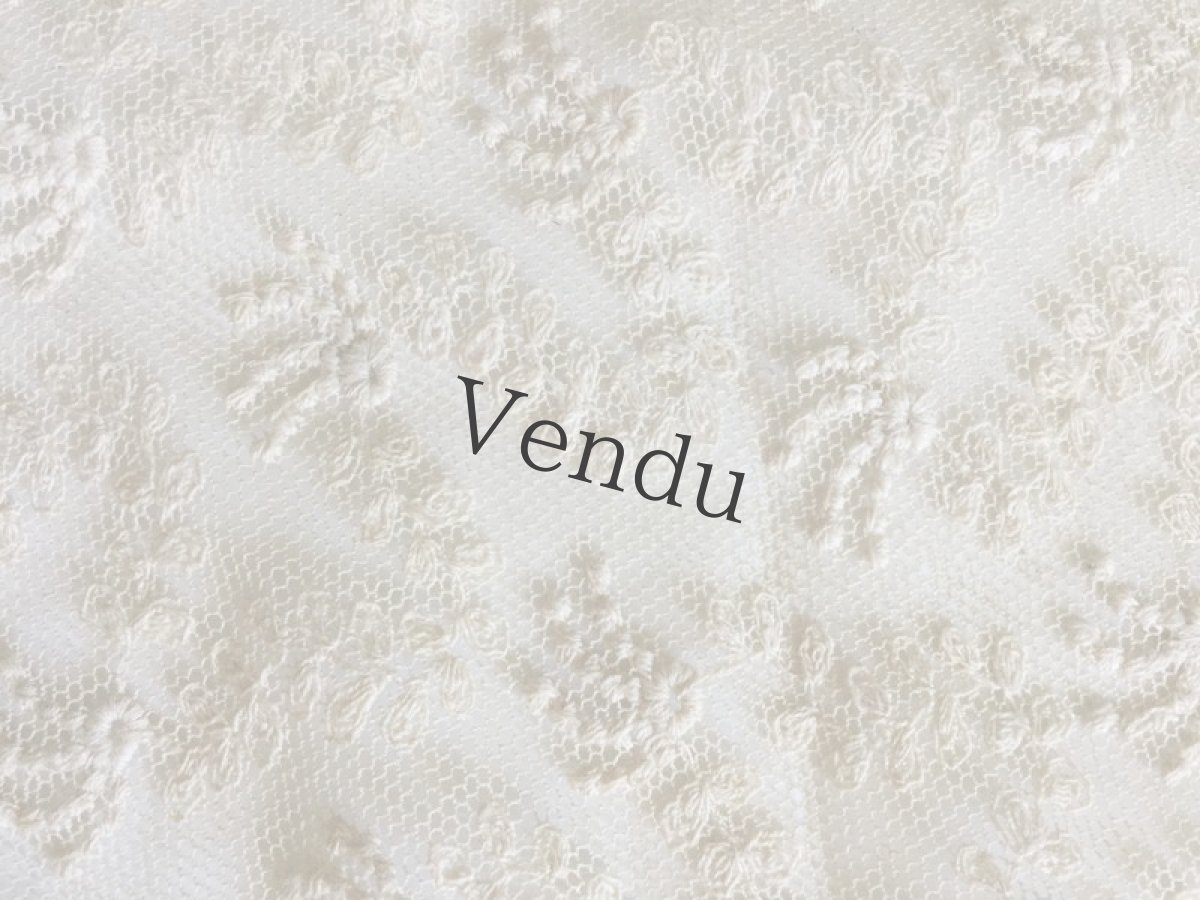 画像6: フランスアンティーク　アプリカシオンレースのお袖セット (6)