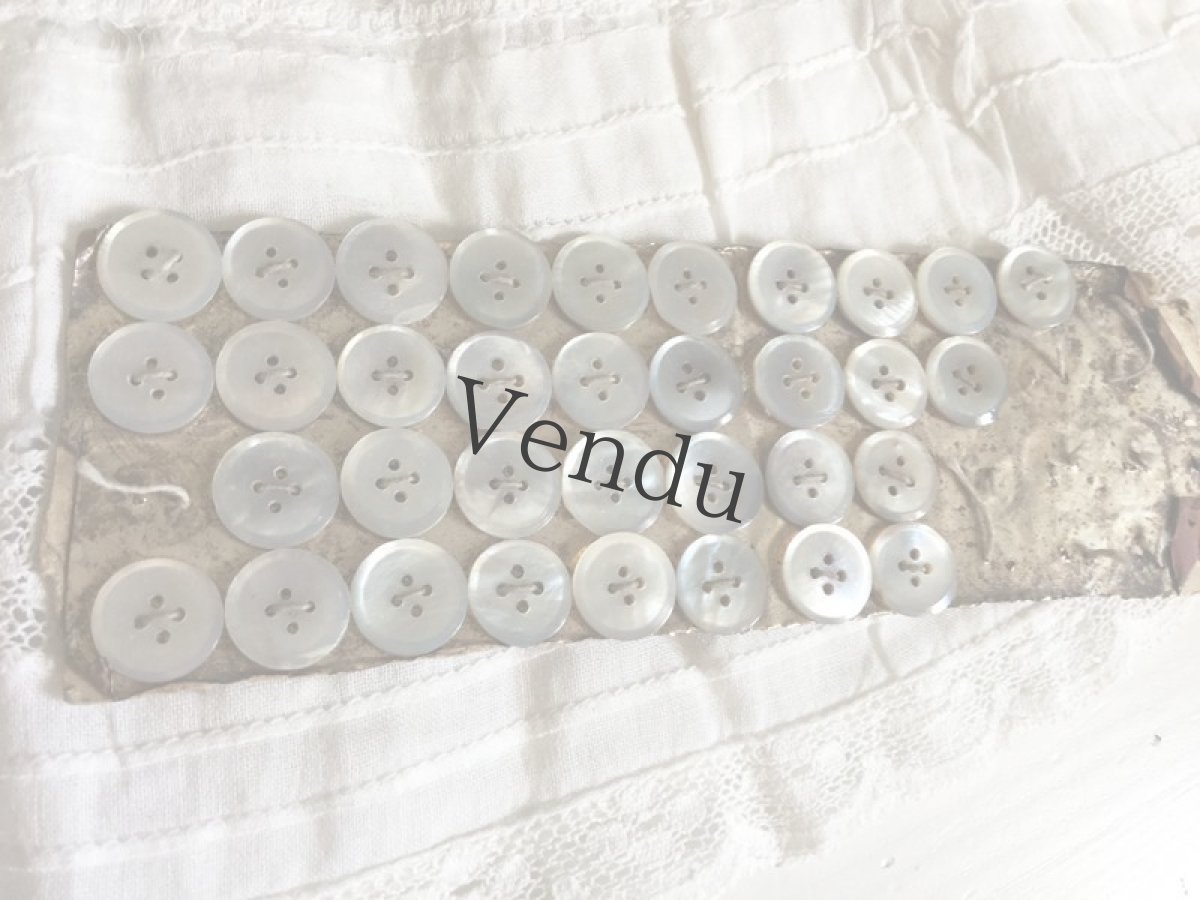 画像3: アンティーク　貝ボタンシート 11ｍｍ (3)