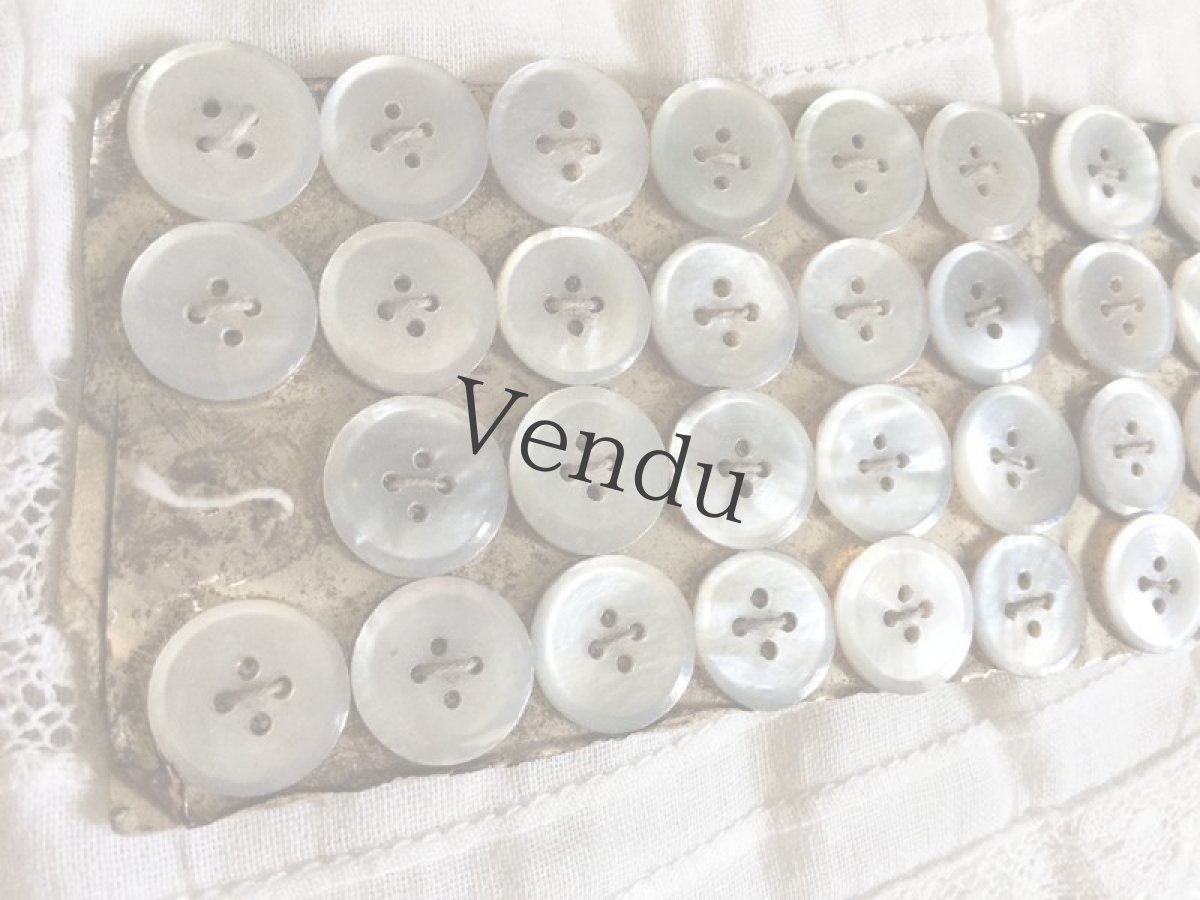 画像2: アンティーク　貝ボタンシート 11ｍｍ (2)