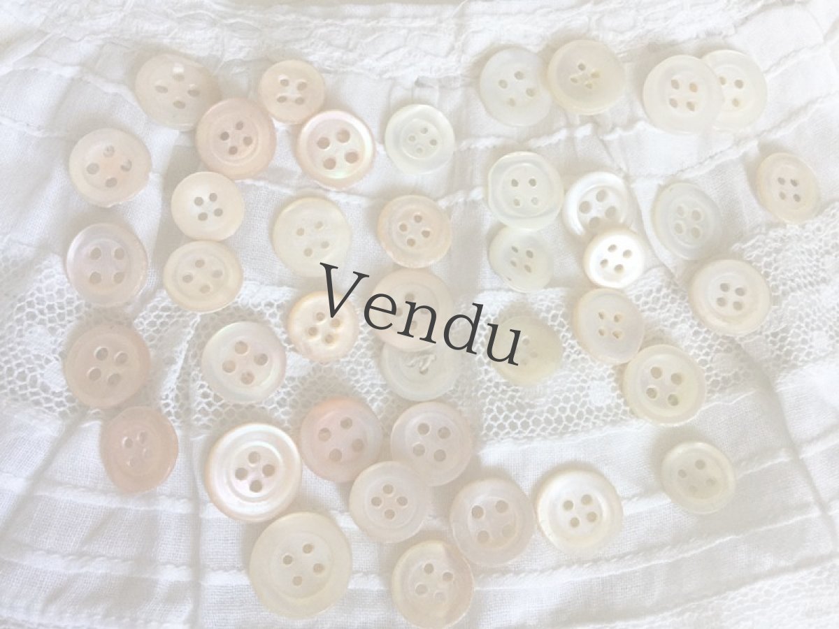 画像2: アンティーク　貝ボタン アソート (2)