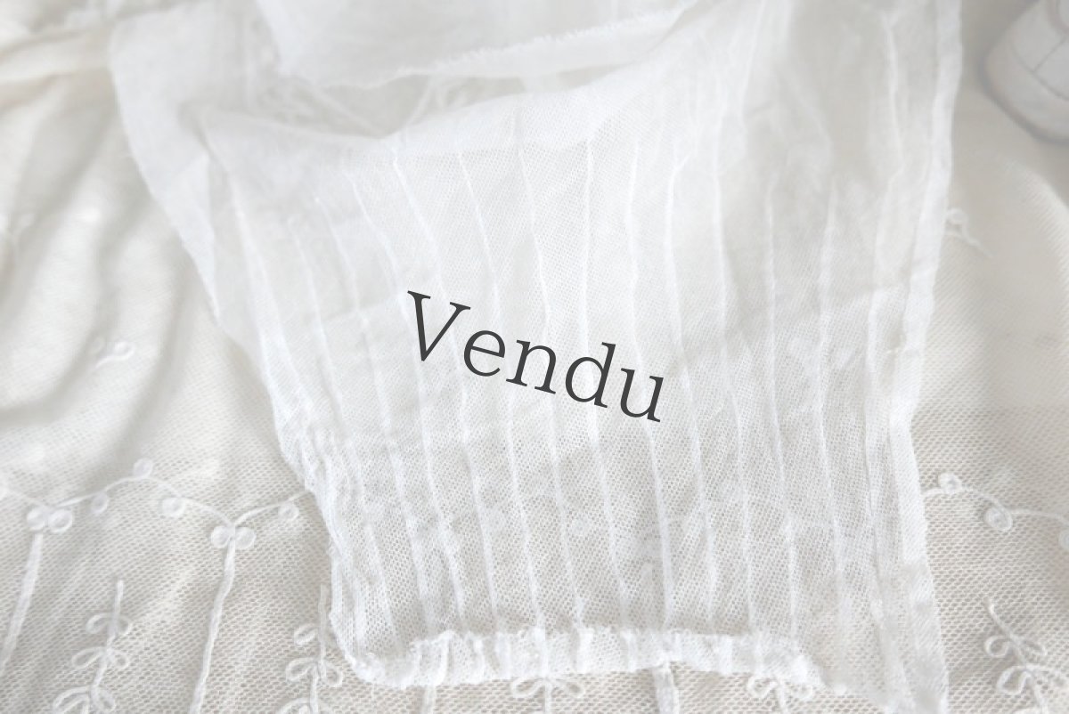 画像4: フランスアンティーク　ふっくらレースのお袖 (4)