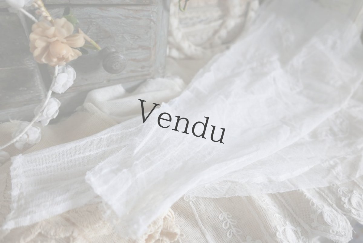 画像3: フランスアンティーク　ふっくらレースのお袖 (3)