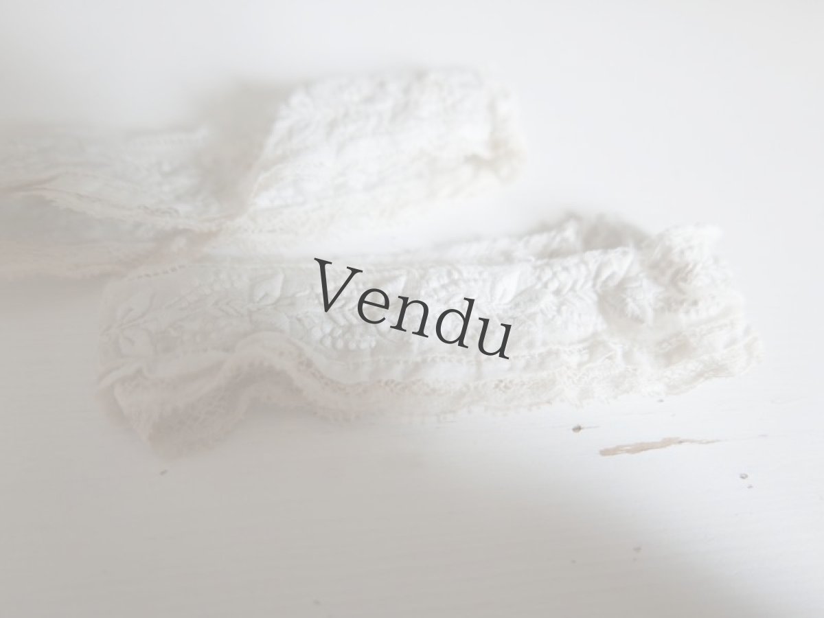 画像3: フランスアンティーク　1900年代 白糸刺繍レースポワニエ (3)