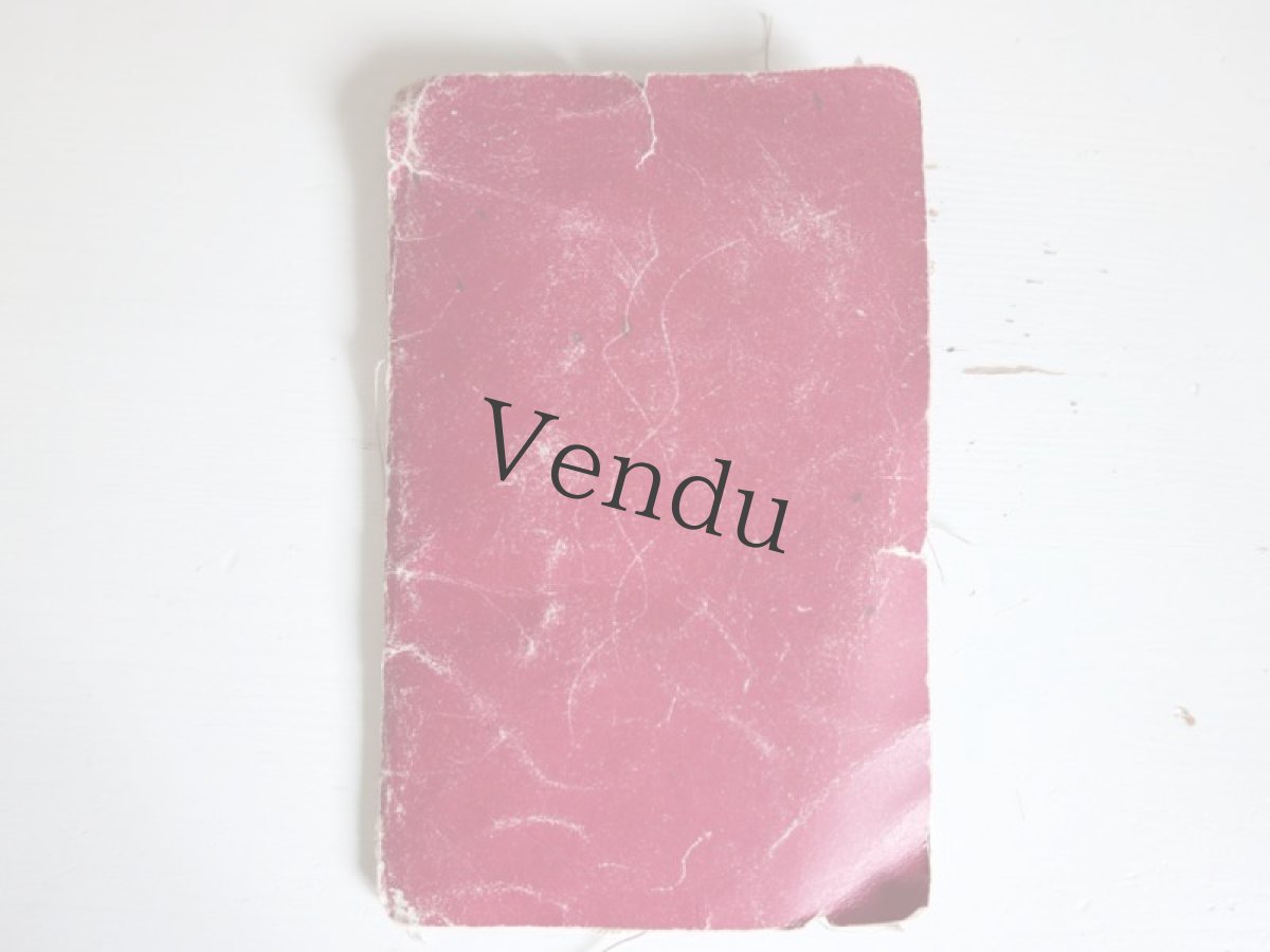 画像2: フランスアンティーク　赤いクロッシェレース見本帳 (2)