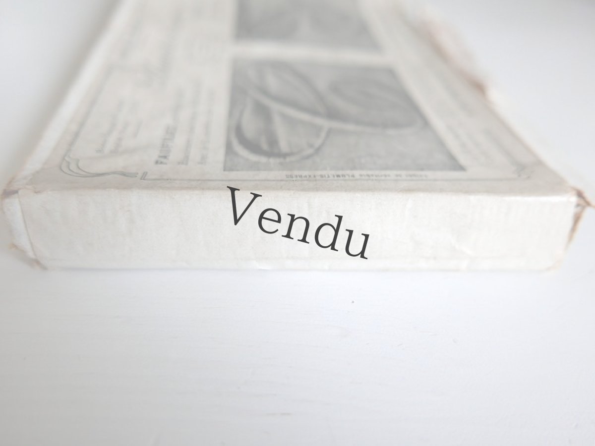 画像11: フランスアンティーク　Plumetis-Express No.8 刺繍用モノグラム "S" (11)