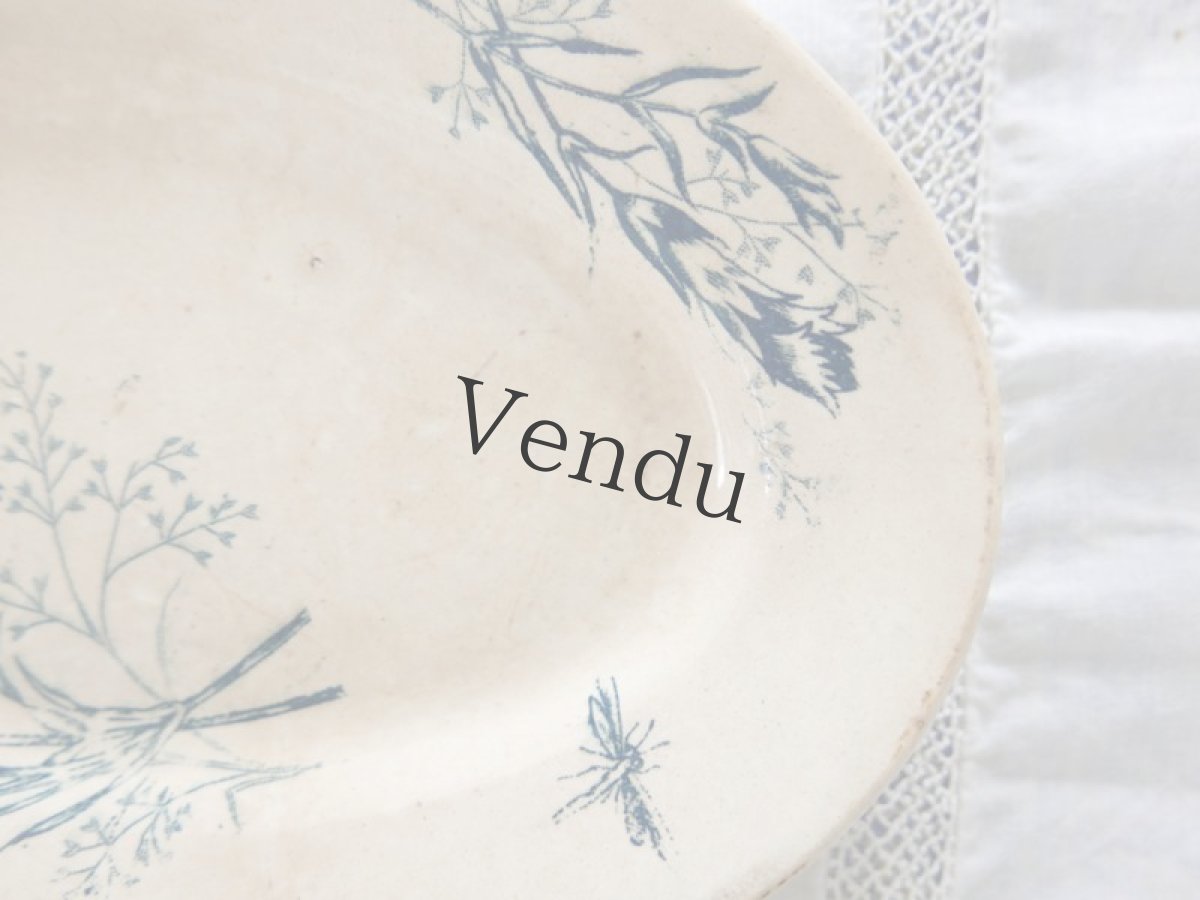 画像4: フランスアンティーク　春の草花や蝶たちのプレート (4)