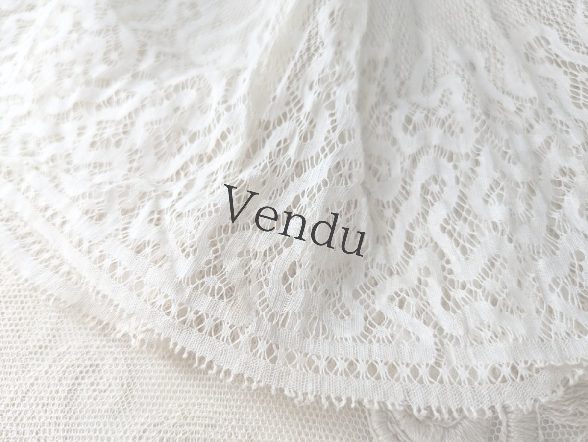 画像3: フランスアンティーク　レースのランプシェード (3)