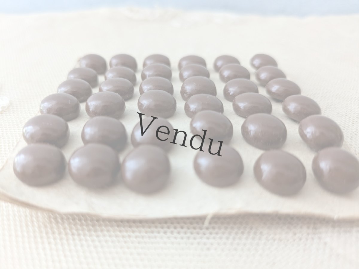 画像4: フランス1900年前後 シューボタンシート ブラウン 10.5mm (4)