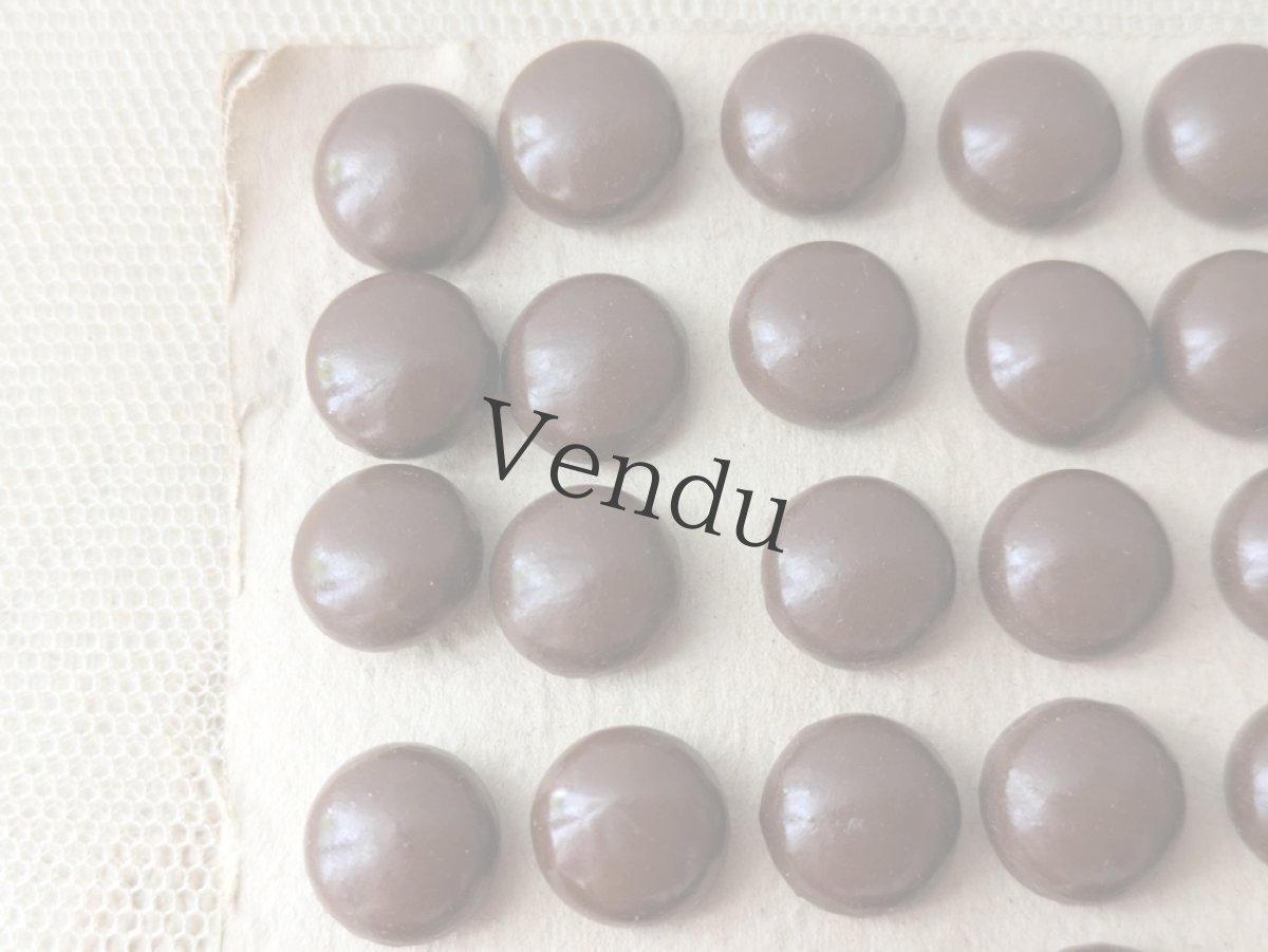 画像2: フランス1900年前後 シューボタンシート ブラウン 10.5mm (2)