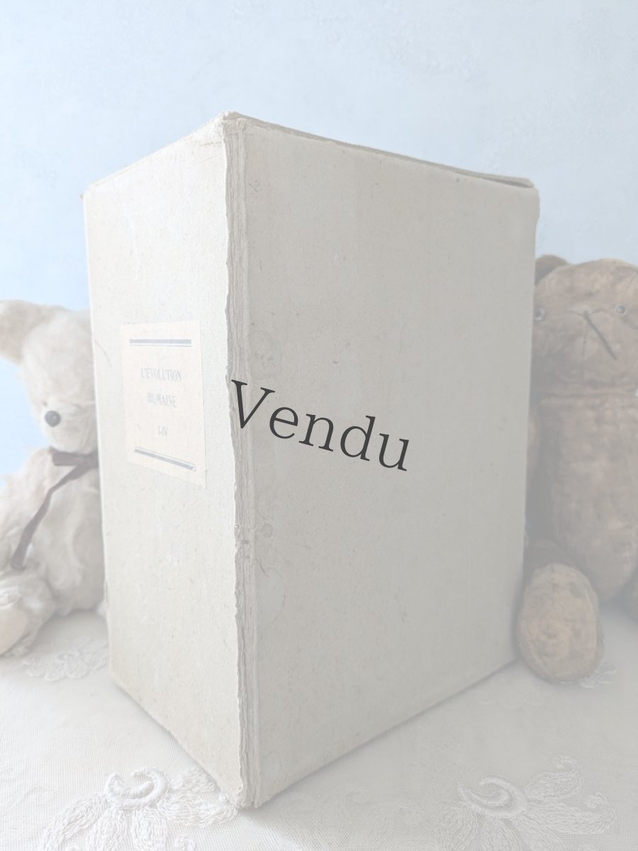 画像17: フランス 1930-1950年　木製トイピアノ (17)