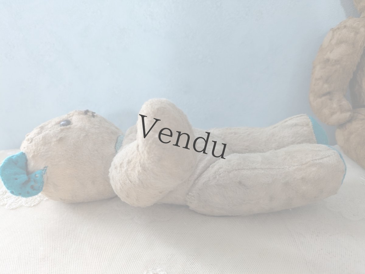 画像6: フランス 1950-1960年　くまのぬいぐるみ (6)