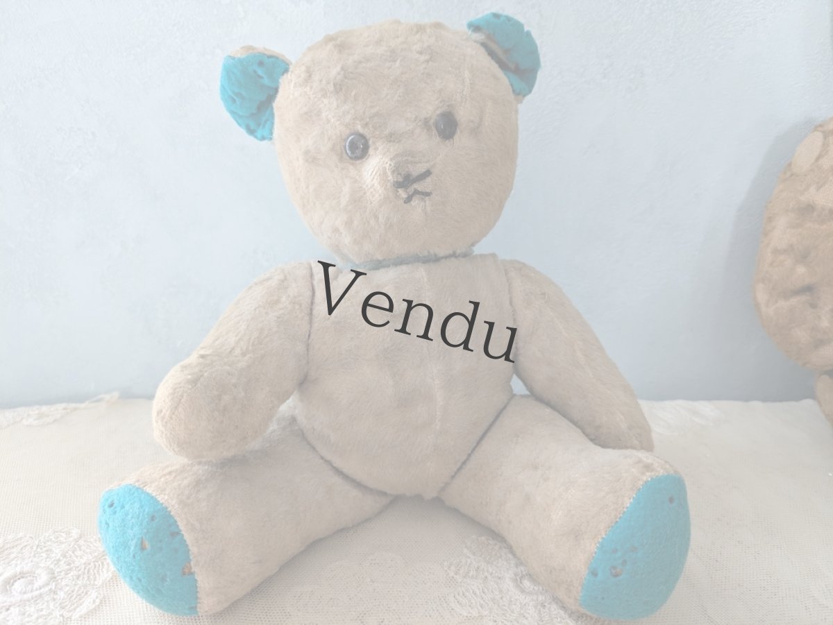 画像10: フランス 1950-1960年　くまのぬいぐるみ (10)