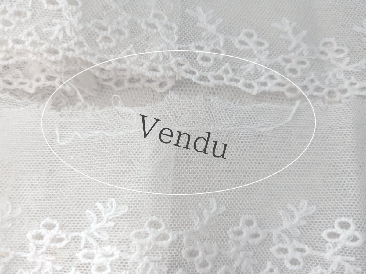 画像5: フランスアンティーク チュール刺繍レース 49cm2本セット  (5)