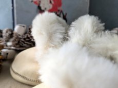 画像16: フランスアンティーク 小さなボネとブーツのセット (16)