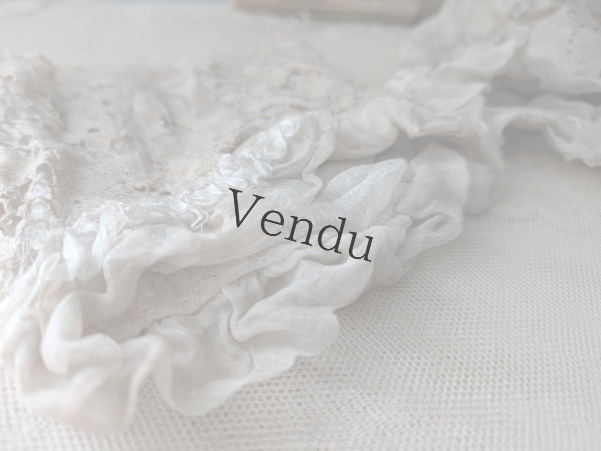 画像8: フランスアンティーク　レースのお袖 ペア (8)