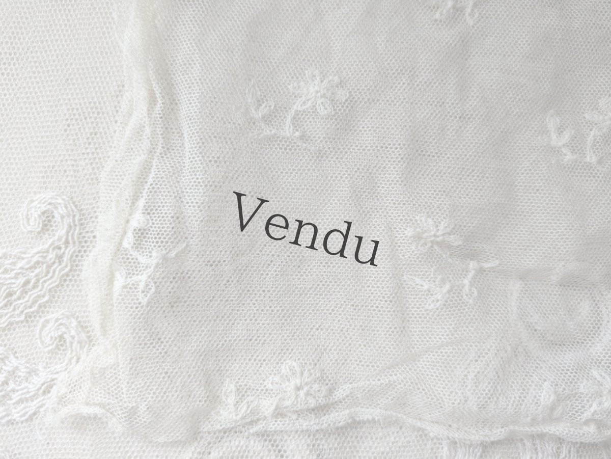 画像4: フランスアンティーク　チュール刺繍はぎれ 23×56cm (4)