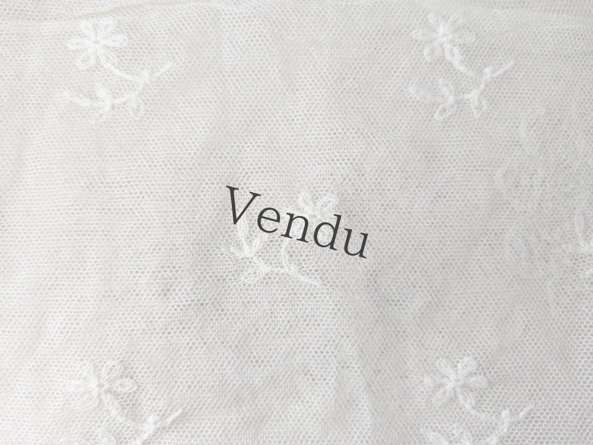 画像2: フランスアンティーク　チュール刺繍はぎれ 23×56cm (2)