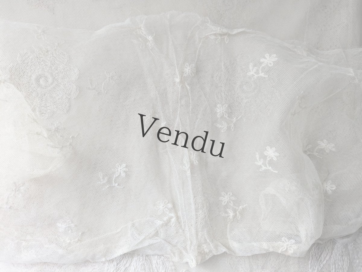 画像3: フランスアンティーク　チュール刺繍はぎれ 23×56cm (3)