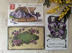 画像5: フランス 1900-30年代 切手付きポストカード パンジーとマドモアゼル (5)