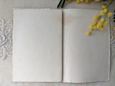画像4: フランス 1882〜1934年 MAISON SAJOU 刺繍アルファベット図案 Album No.110 (4)