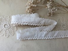 画像1: フランスヴィンテージ 刺繍スカラップレース 178cm (1)