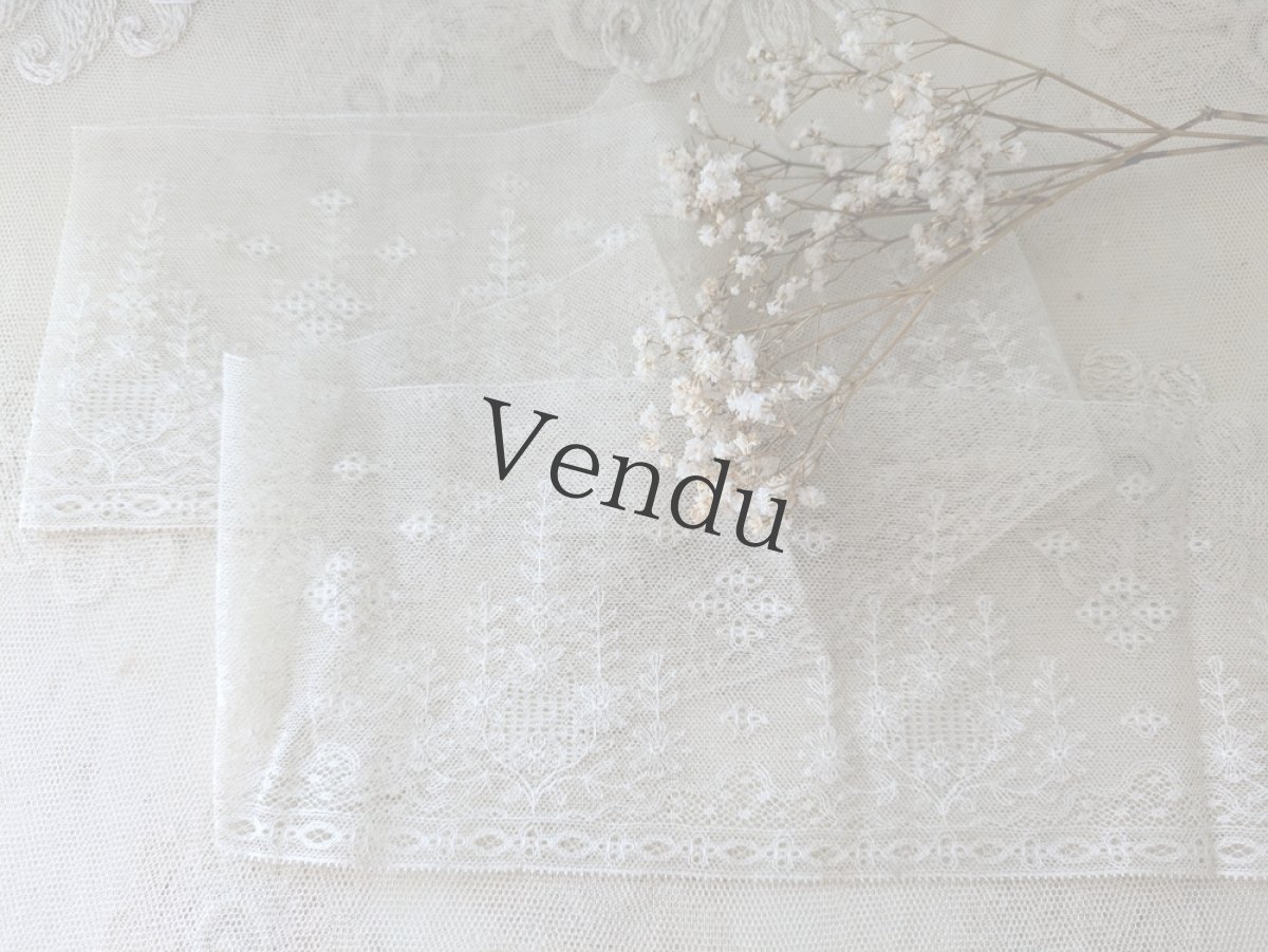 画像1: フランスヴィンテージ 幅広チュール刺繍レース 103cm (1)