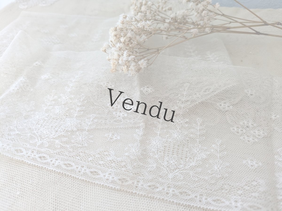 画像2: フランスヴィンテージ 幅広チュール刺繍レース 103cm (2)