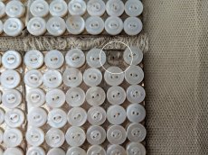 画像8: フランスアンティーク 極小貝ボタンシート 9mm (8)