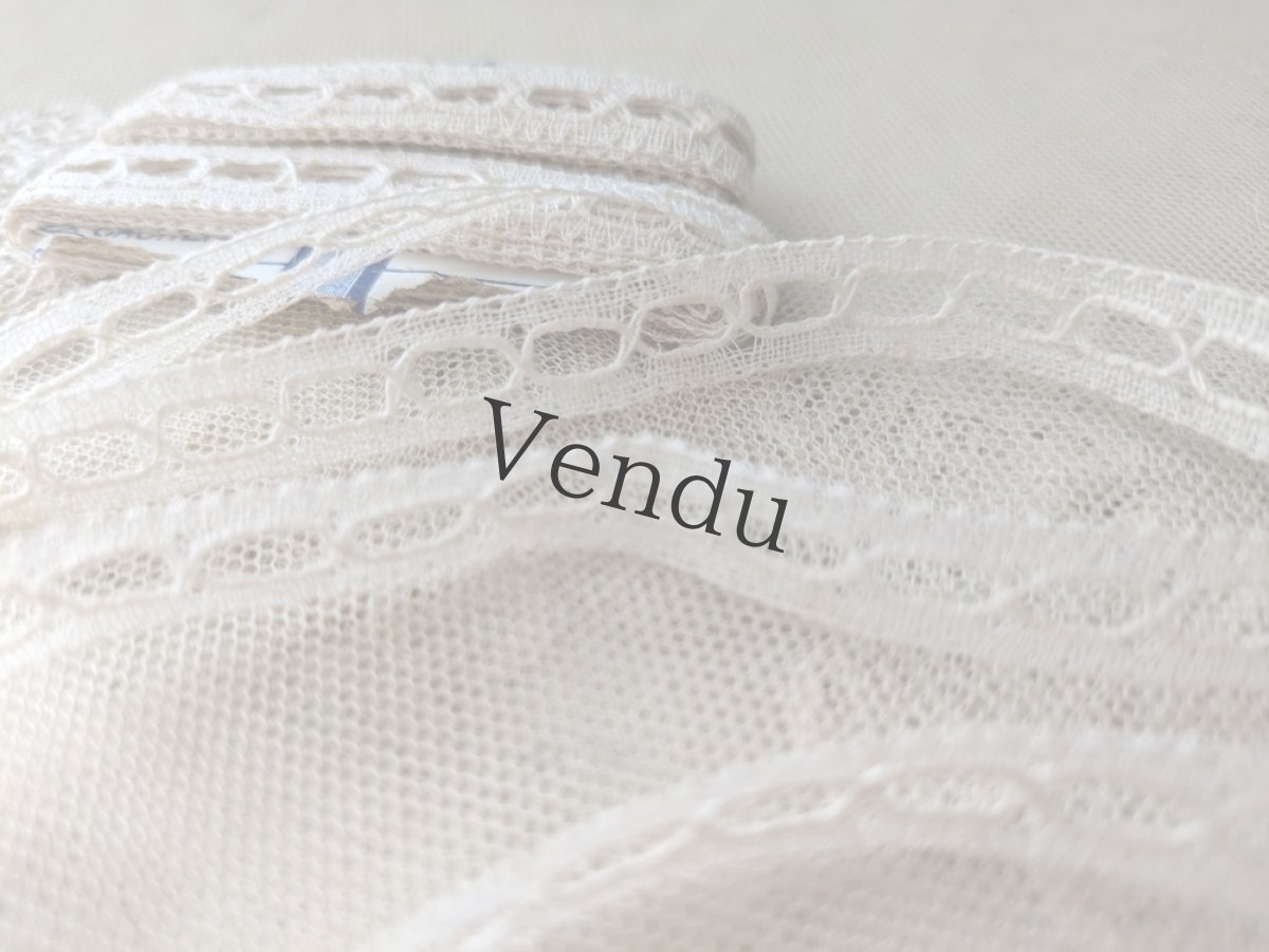 画像3: フランスヴィンテージ　穴あきレースブレード 443cm (3)