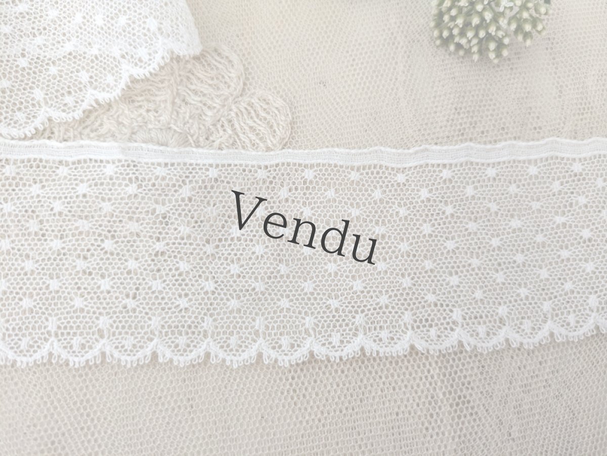 画像2: フランスヴィンテージ　チュールスカラップレース 水玉刺繍 50cm〜 (2)