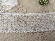 画像2: フランスヴィンテージ　チュールスカラップレース 水玉刺繍 50cm〜 (2)