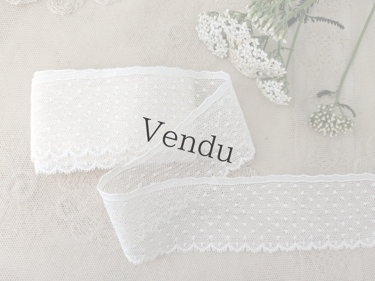 画像1: フランスヴィンテージ　チュールスカラップレース 水玉刺繍 50cm〜 (1)