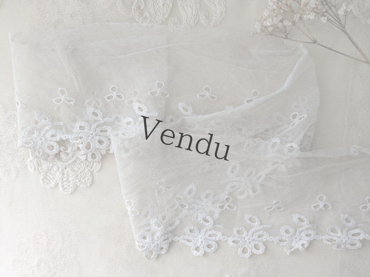 画像1: フランスアンティーク 幅広 チュールレース 90cm (1)