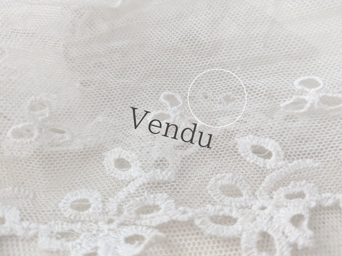 画像3: フランスアンティーク 幅広 チュールレース 90cm (3)