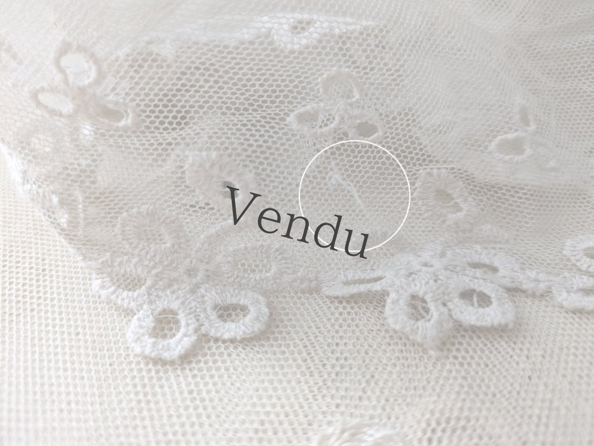 画像4: フランスアンティーク 幅広 チュールレース 90cm (4)