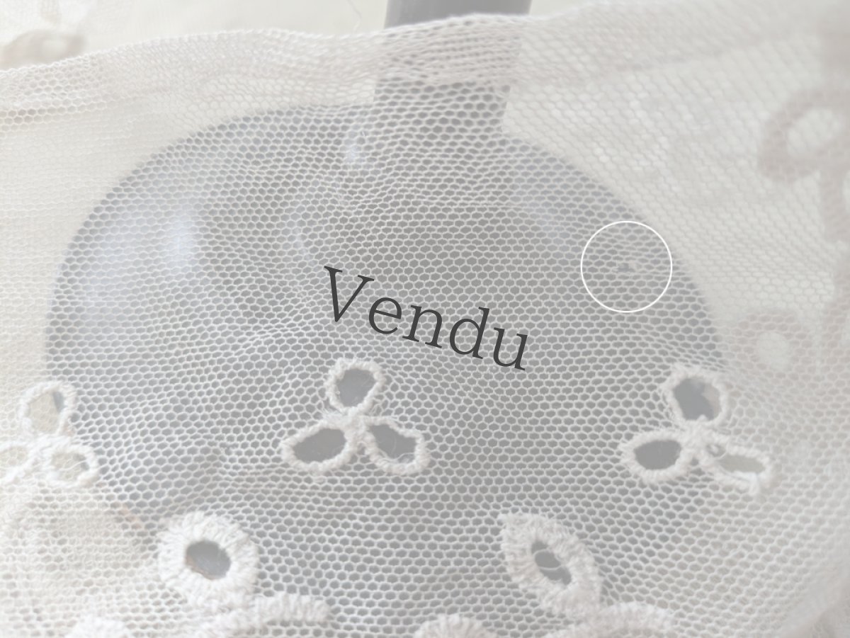 画像5: フランスアンティーク 幅広 チュールレース 90cm (5)