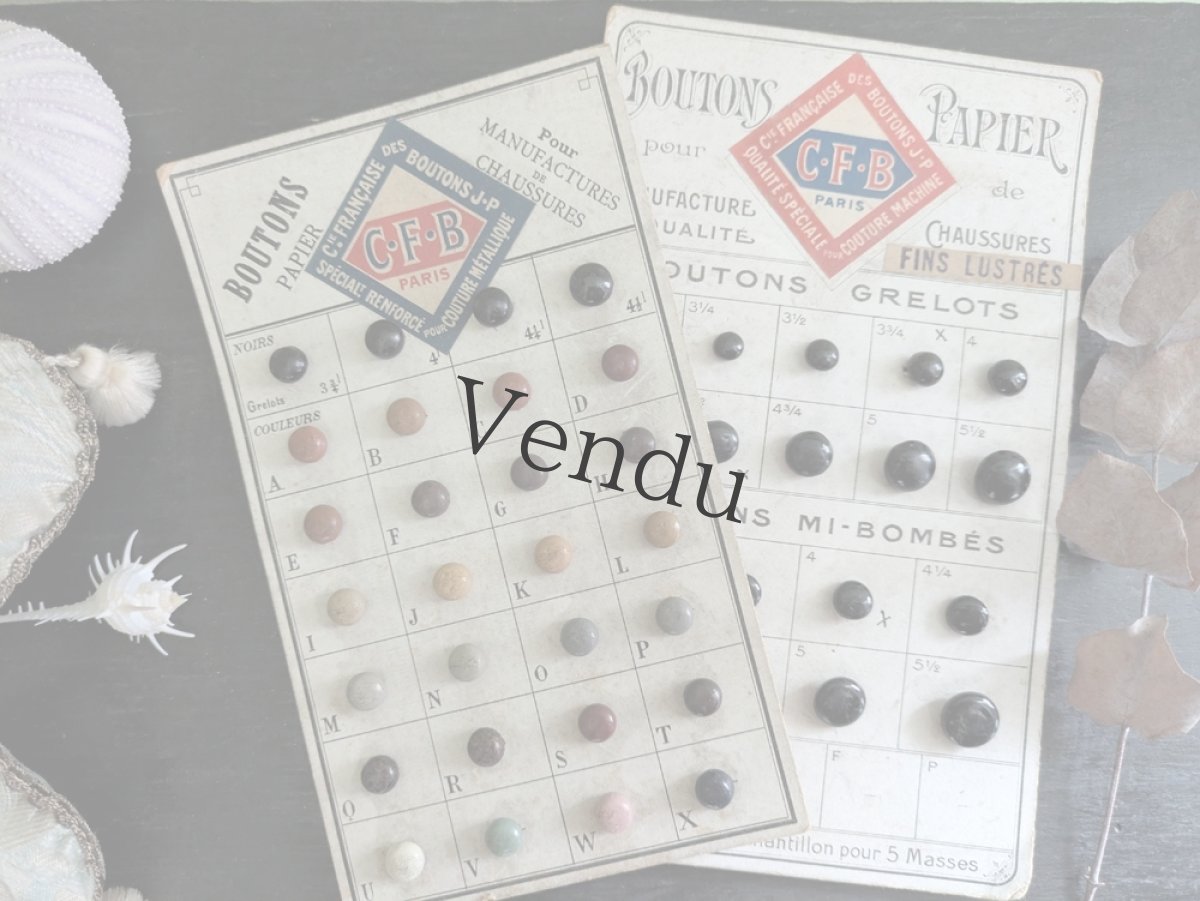 画像6: フランス 1910-30年 シューボタンサンプルシート ノワール C.F.B (6)
