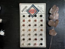 画像1: フランス 1910-30年 シューボタンサンプルシート C.F.B (1)