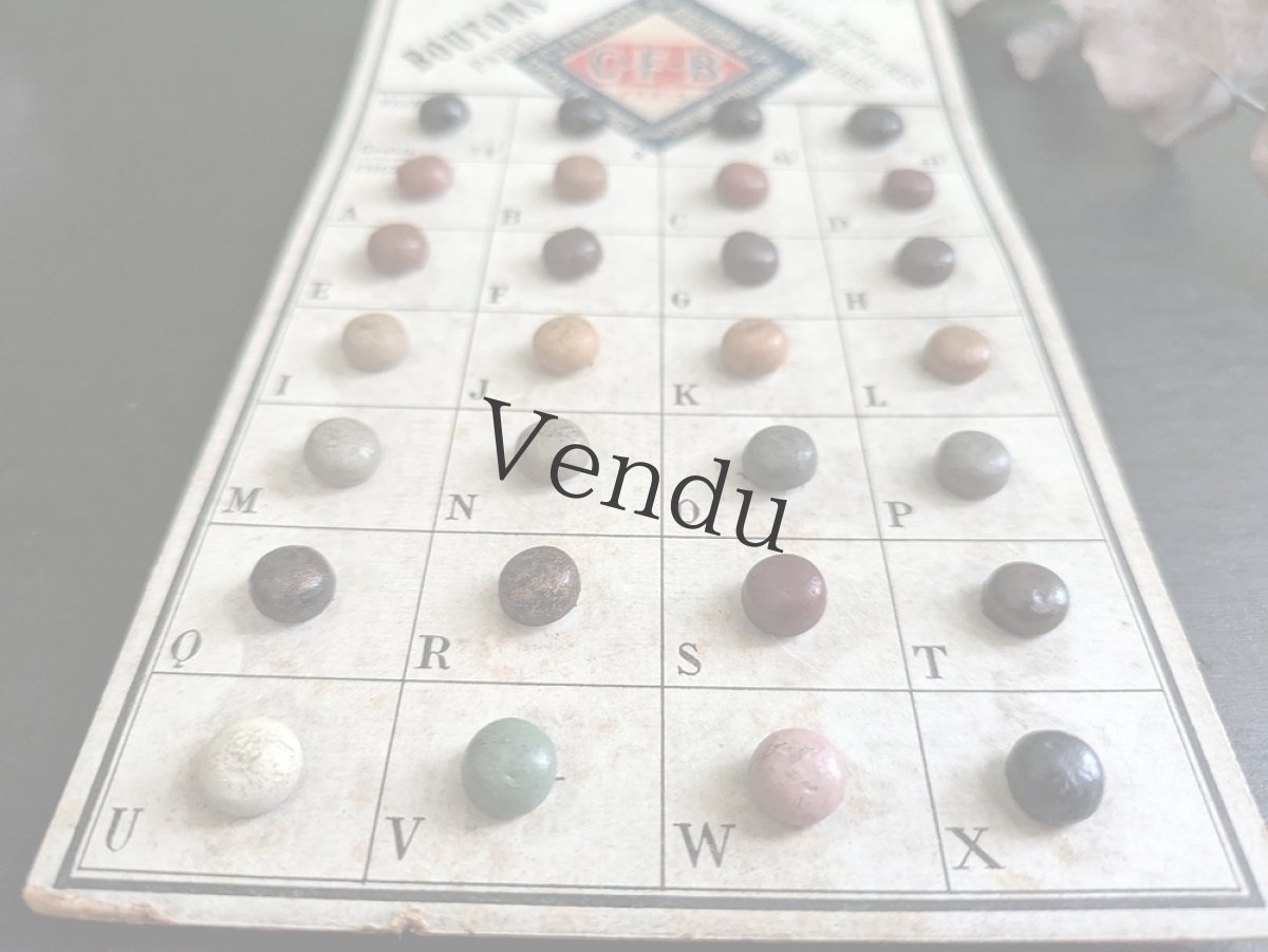 画像4: フランス 1910-30年 シューボタンサンプルシート C.F.B (4)