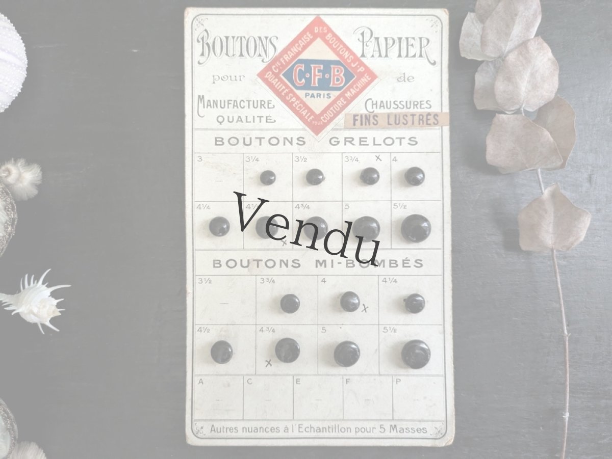画像1: フランス 1910-30年 シューボタンサンプルシート ノワール C.F.B (1)